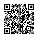 HUNT480 想像してみて下さい…。娘と歩いている時、いきなりレイプ集団に拉致られて的二维码